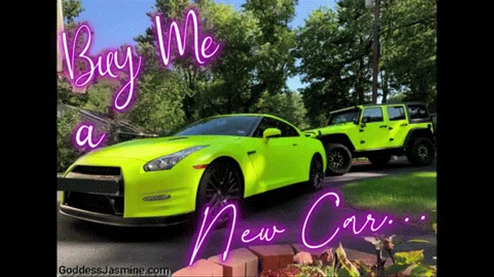 Buy Me a New Car - FinDom