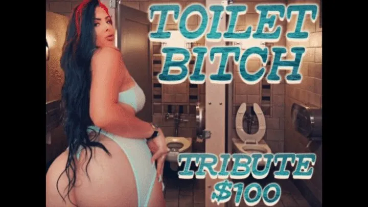 Toilet Bitch Pays $100