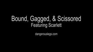 Bound, Gagged and Scissored!
