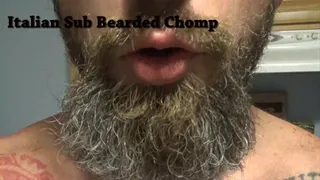 Bearded Italian Sub Chomp