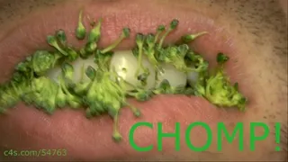 CHOMP! - Broccoli - SM