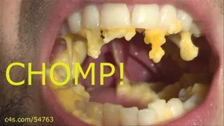 CHOMP! - Mac n' Cheese - Small