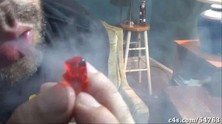 Brandon the Gummy Bear - ( )