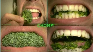 CHOMP! - Broccoli