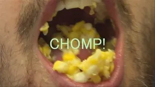 Bearded and Hungry-Corn on the Cobb Chomp