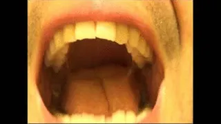 Mouth CloseUp