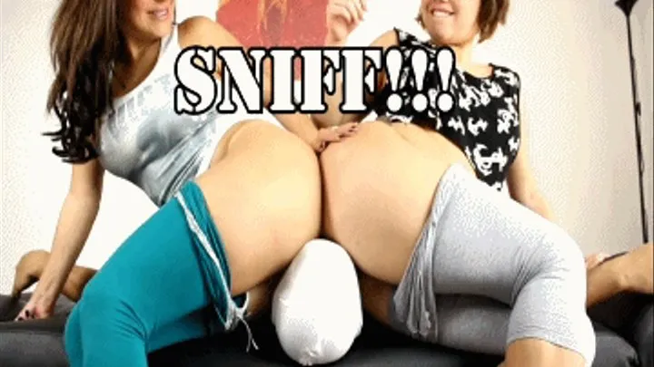 Sniffing Massive Asses