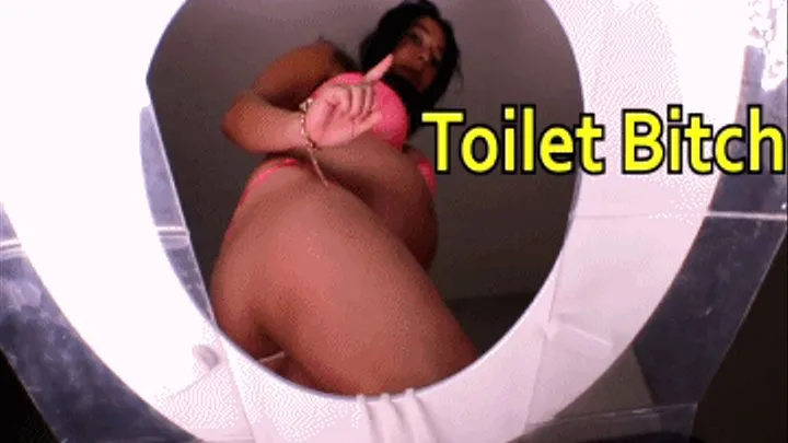 Toilet for Pregnant Goddess