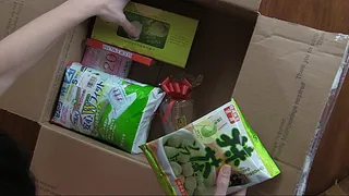 Elise Gets A Package In The Mail From Japan