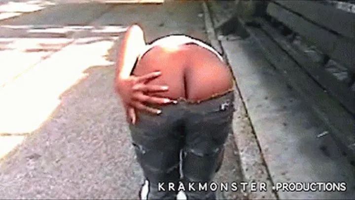 KRAK iN THE STREETS! BROOKLYN BUTT CRACK COLLECTiON : DAYWALKERS . Hi-8 archival footage