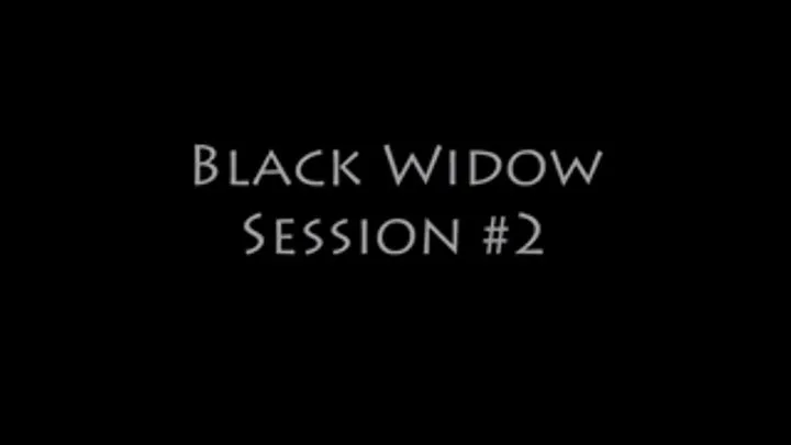 Session With Black Widow #3