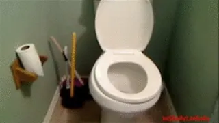 Toilet video #6