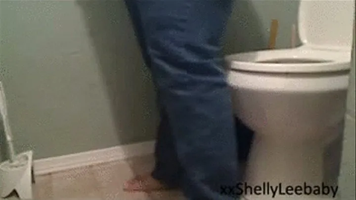 Toilet video #2