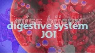 DIGESTIVE System JOI ( Visualizer)