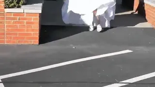 Run away bride escapes in the Caddy 1 of 4