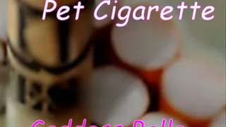 Smoking My Pet Tobacco Cigarette