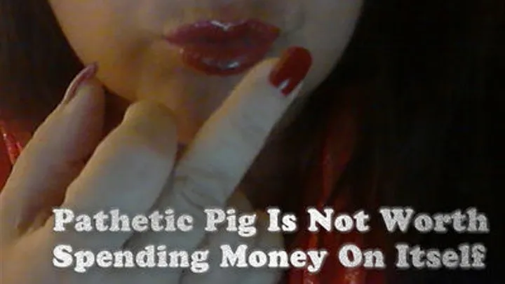 Pathetic Pig is Not Worth Spending Money On Itself