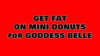 Feederism: Get Fat on Mini Donuts