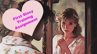 Your First Sissy Training Assignment