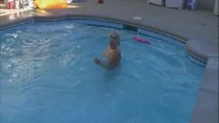 Cannonball Beauties in a Pool