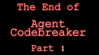 Codebreaker Part 1