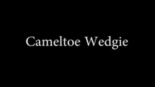 Cameltoe Wedgie