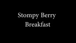 Stompy Breakfast