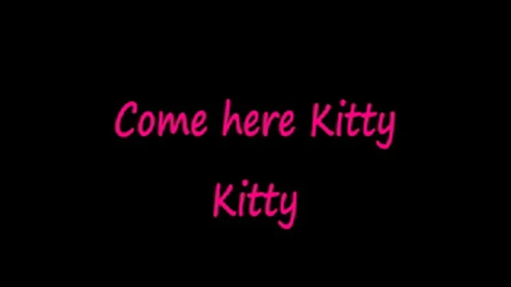 Hello Kitty Kitty