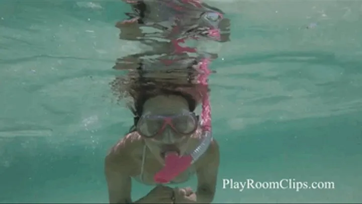 Snorkeling in the Ocean