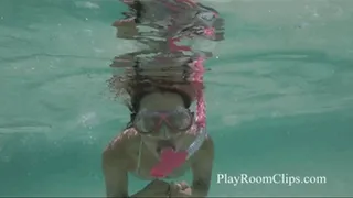 Snorkeling in the Ocean