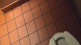 Public Blowjob: Ava Sucks Jake in the Chipotle Bathroom