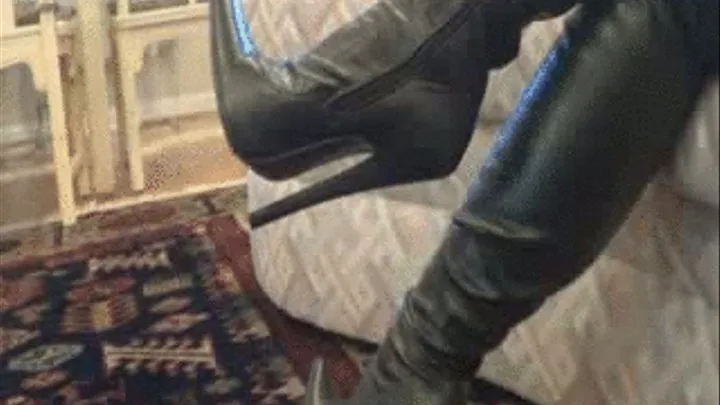 Seven Inch Heel Fetish Boot Appreciation (For I Pads)