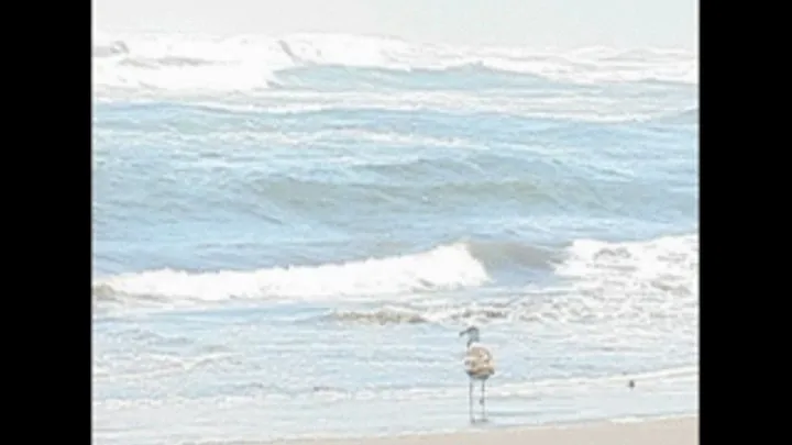 Outdoors at the Beach Naked and inserting umbrella