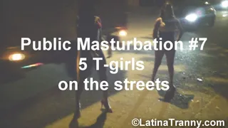 Street Public Masturbation #7 with 5 T-girls Public Nudity