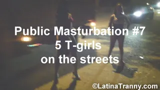 Street Public Masturbation #7 with 5 T-girls on the street, HDV Clip