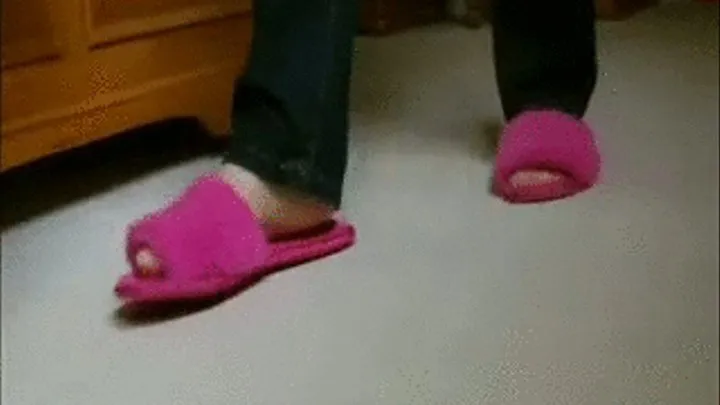 fuzzy slipper fascination