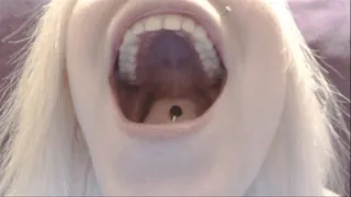 The pretty roof of my mouth (MP4)