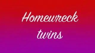 Home Wrecking Twins