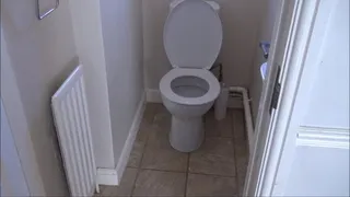 My Disgusting Toilet S**t Eater