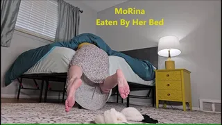 MoRina Eaten By Her Bed