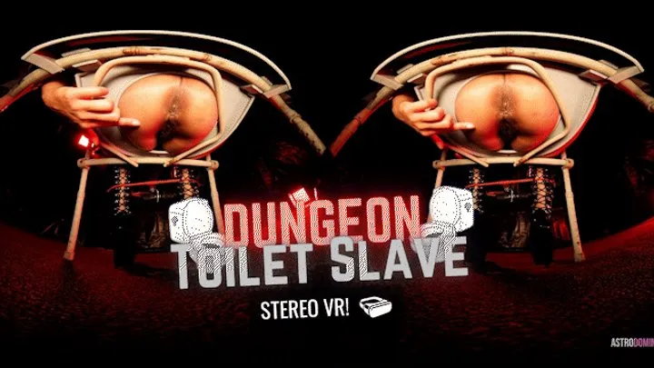 DUNGEON TOILET SLAVE feat AstrodDomina (STEREO VR)