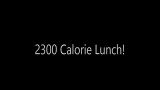 My 2300 calorie lunch -- $4 off!