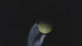 Lemons in Space