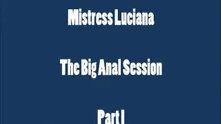 THE BIG ANAL SESSION