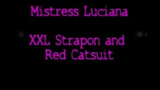 XXL STRAPON IN RED CATSUITE