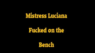 Fucked on the Bench