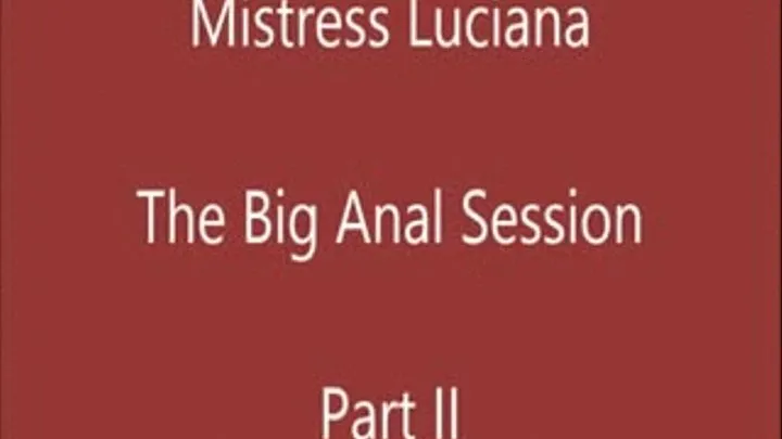 THE BIG ANAL SESSION 2