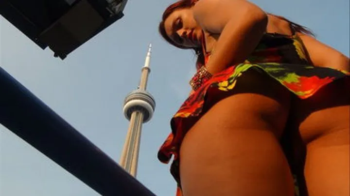 Public Upskirt at baseball game