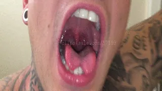 HHog Mouth Video 4