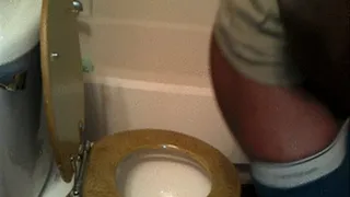 Toilet Explosion